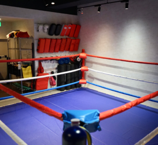 上がれば気分は本格派!リング常設